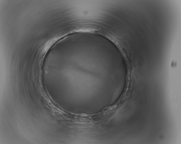 X0000111510337200907141341