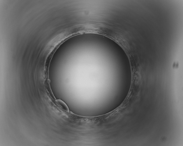 X0000111510338200907141341