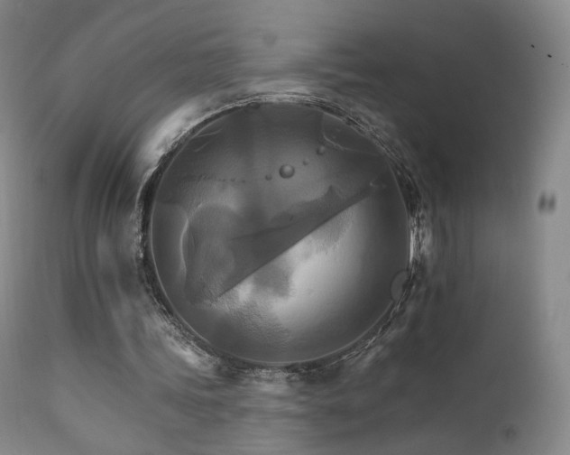 X0000111510339200907141341
