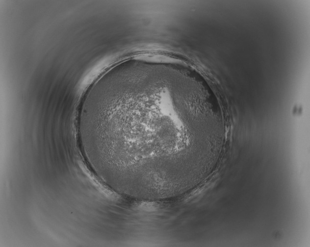 X0000111510341200907141341