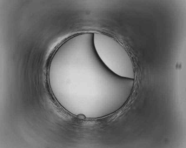 X0000111510342200907141341