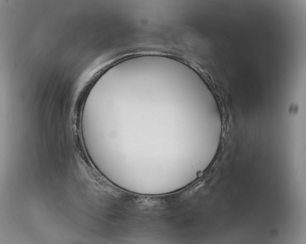 X0000111510343200907141341