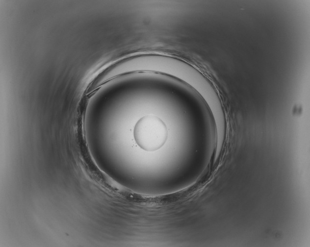 X0000111510344200907141341