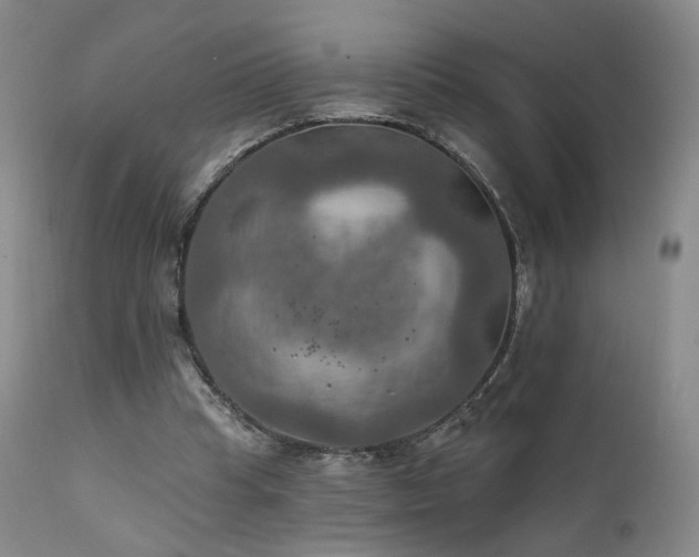 X0000111510345200907141341