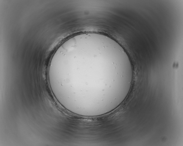 X0000111510347200907141342