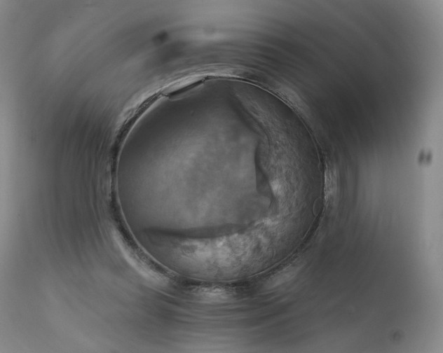 X0000111510349200907141342