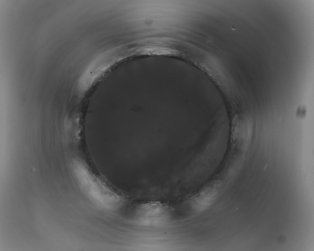 X0000111510351200907141342