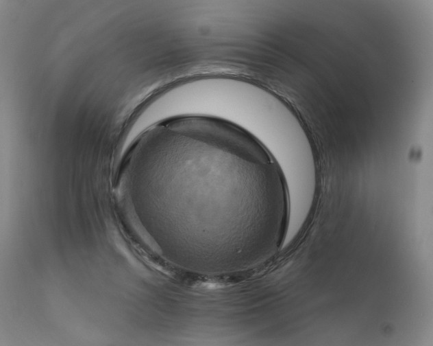 X0000111510352200907141342