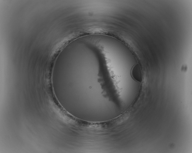 X0000111510353200907141342