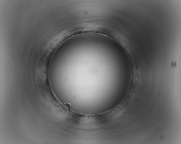 X0000111510354200907141342