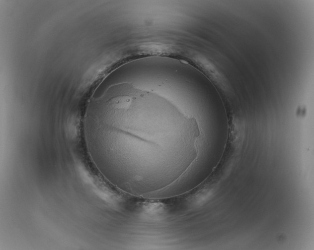 X0000111510355200907141342