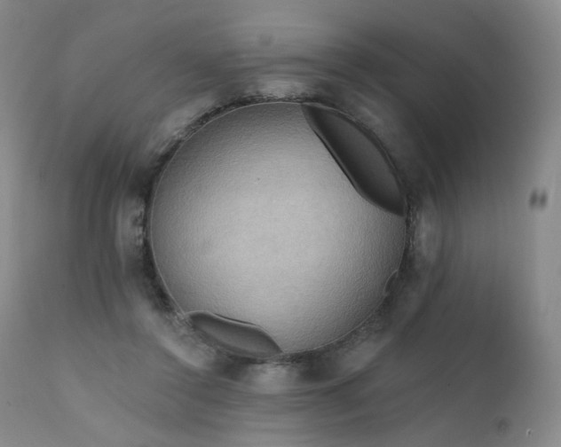 X0000111510356200907141342
