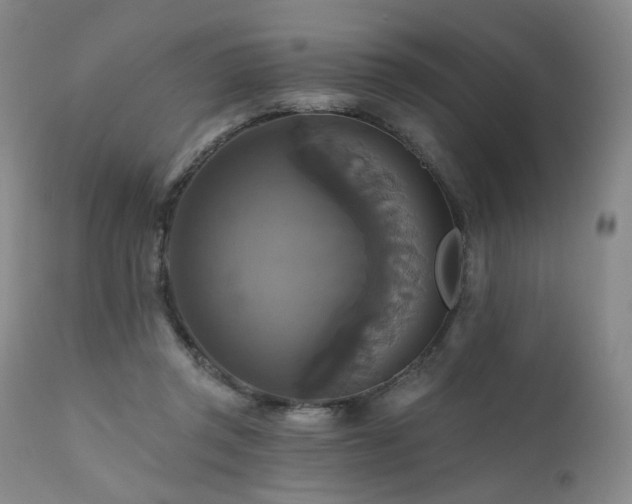 X0000111510357200907141342