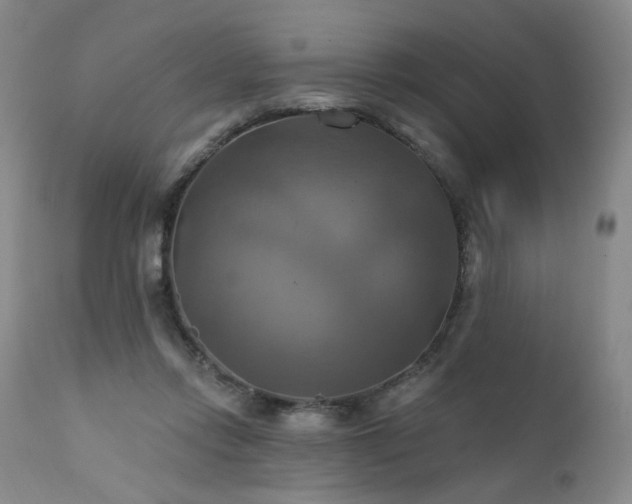 X0000111510358200907141342