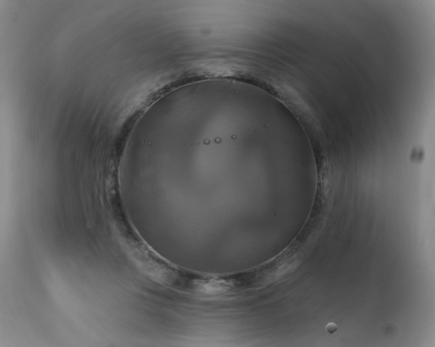X0000111510359200907141342
