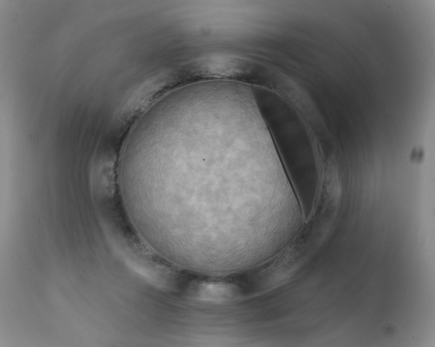 X0000111510360200907141342