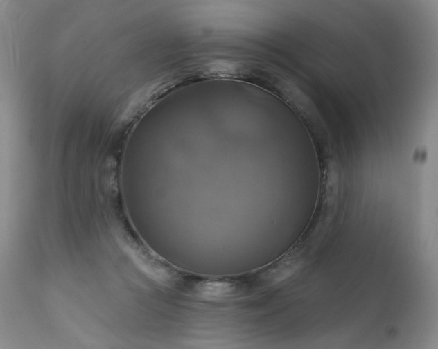 X0000111510361200907141342