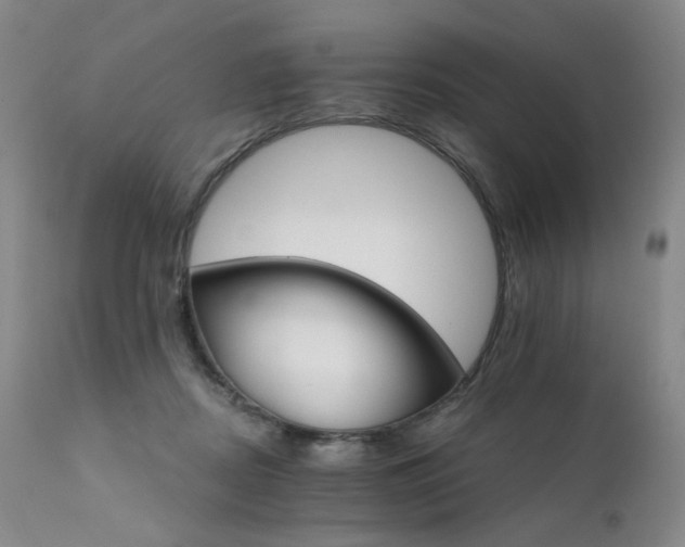 X0000111510362200907141342