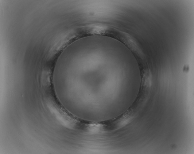 X0000111510363200907141342