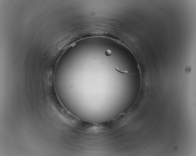 X0000111510364200907141342