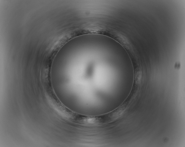 X0000111510365200907141342