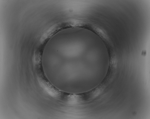 X0000111510367200907141342