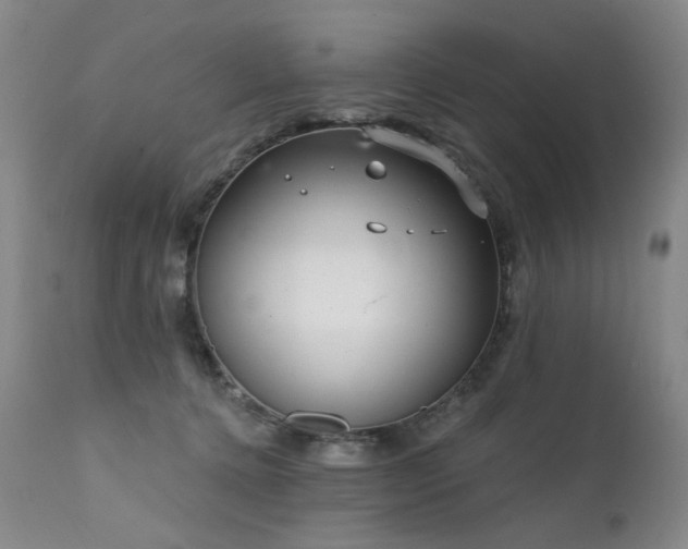 X0000111510368200907141342
