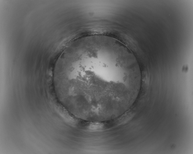 X0000111510369200907141342