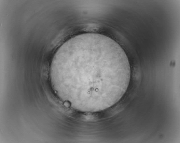X0000111510370200907141342