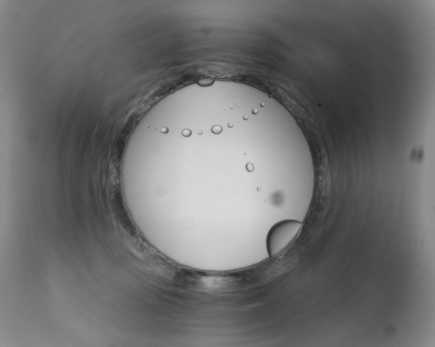 X0000111510371200907141342