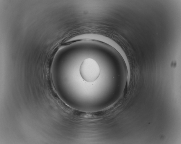 X0000111510372200907141342