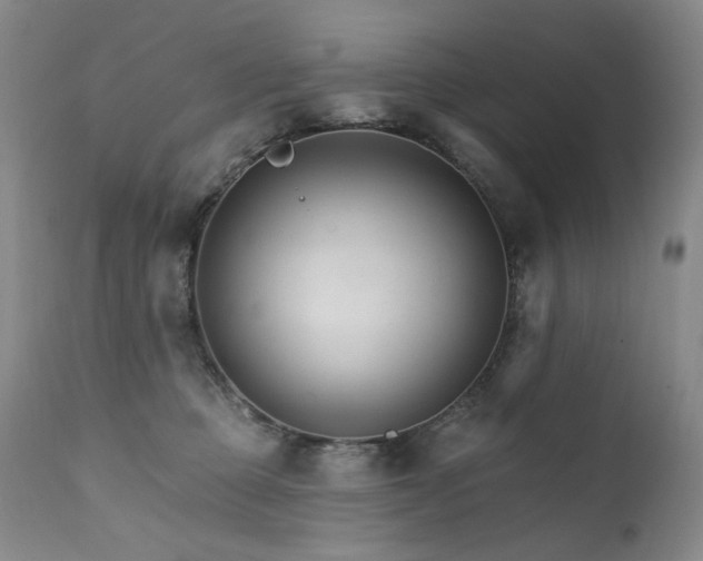 X0000111510373200907141342
