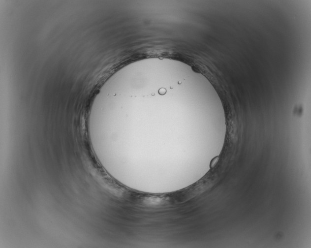 X0000111510375200907141342