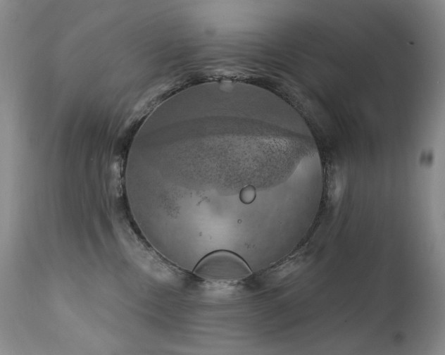 X0000111510378200907141342