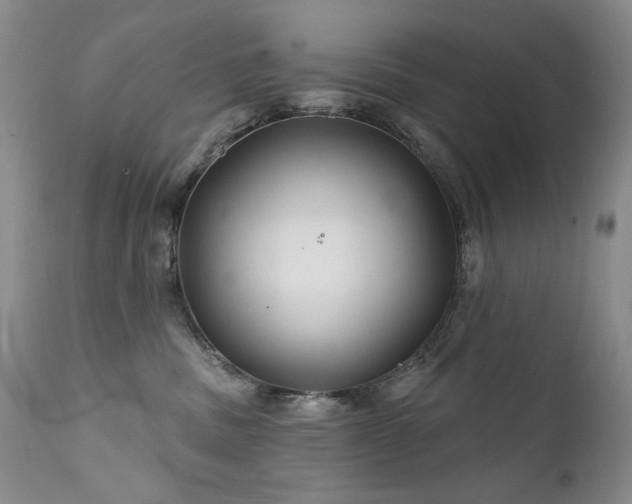 X0000111510379200907141342