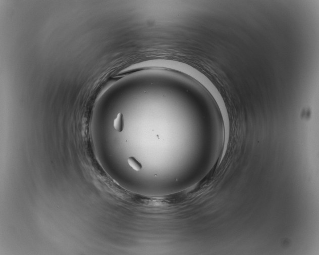 X0000111510380200907141342