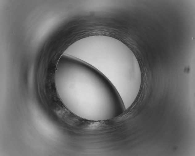 X0000111510382200907141342