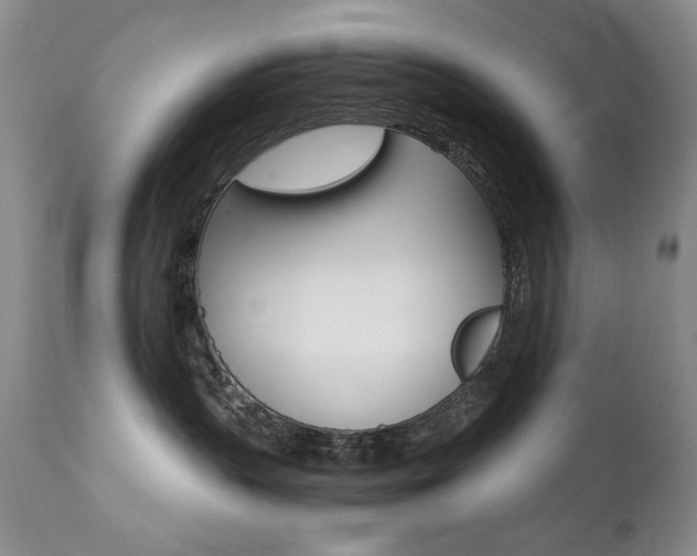 X0000111510383200907141342