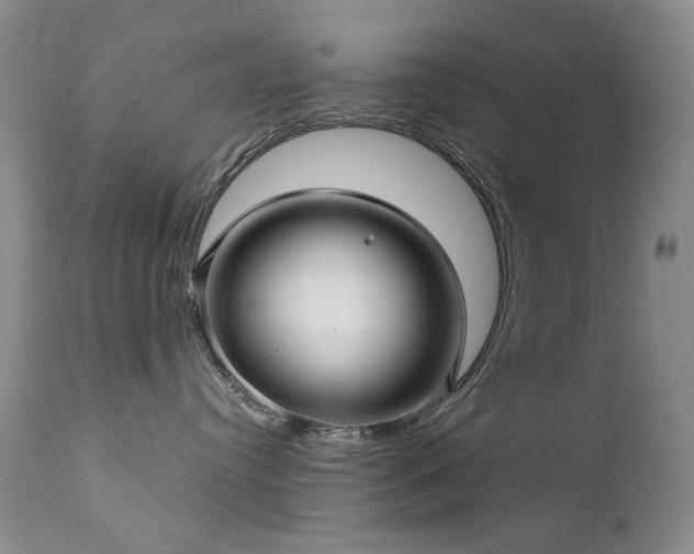 X0000111510384200907141342