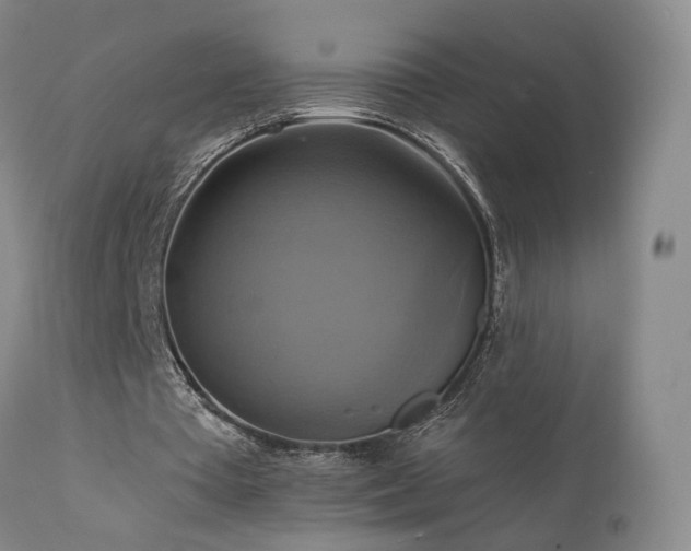 X0000111510385200907141341