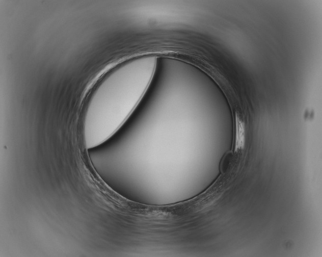 X0000111510387200907141341