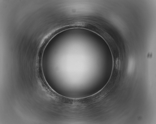 X0000111510388200907141341