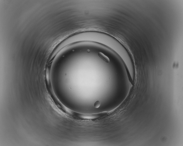 X0000111510389200907141341