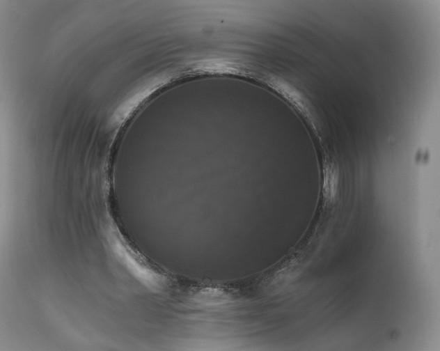 X0000111510390200907141341