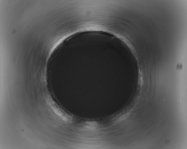 X0000111510391200907141341