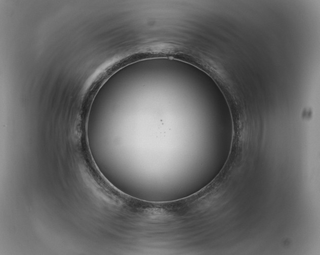 X0000111510392200907141341