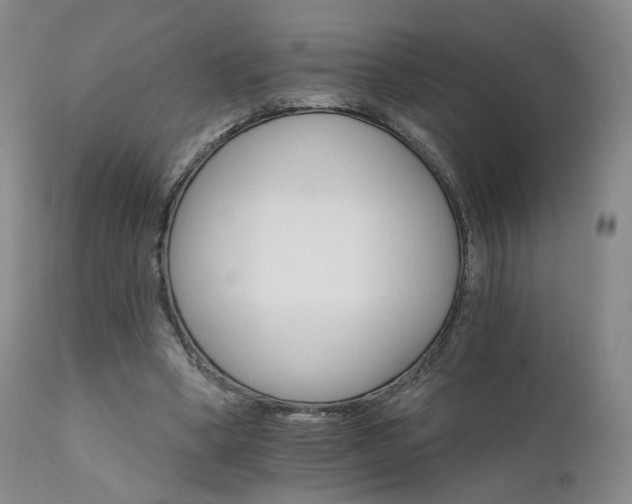 X0000111510394200907141341