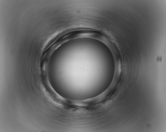 X0000111510395200907141341