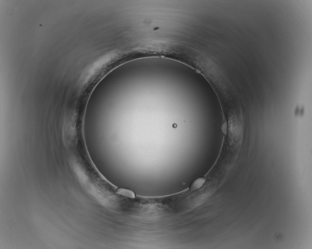X0000111510396200907141341