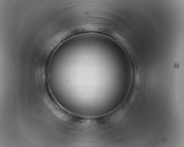 X0000111510398200907141341